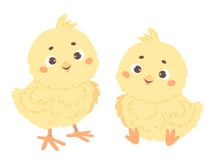 Cute little yellow chickens. Isolated poultry on white background. Vector illustration. Kids collection.
