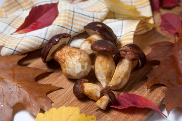 Several Imleria Badia or Boletus badius mushrooms commonly known as the bay bolete on wooden cutting board..