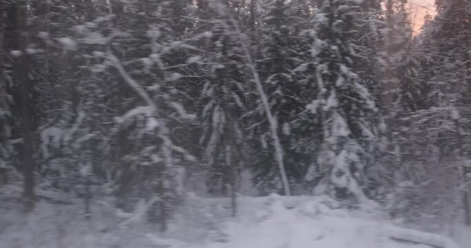 The train's window frames a winter spectacle: woods draped in snow, glowing under the soft embrace of sunset.