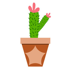 cactus in a pot illustration