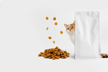 Pet food. Hungry cat with food pouch and flying food isolated on white background. - obrazy, fototapety, plakaty