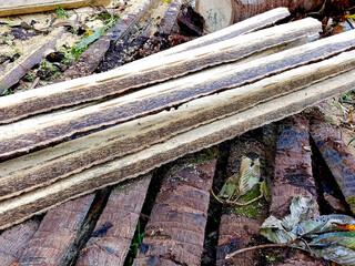 Palmwood for making furniture. cut it in the garden. split palmwood.