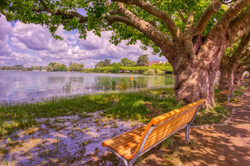 Überschwemmung am Bodensee bei Radolfzell in 2016 II - explored