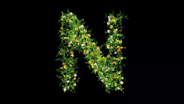 English alphabet N with grass and colorful flowers on plain black background