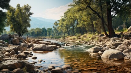 natural landscape with a clear stream, rocks, and green trees under a bright sky