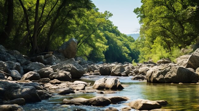 river flows through a rocky landscape surrounded by lush green trees under a clear sky, depicting a peaceful natural environment.