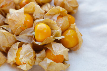 Fresh cape gooseberry. Delicious tropical fruit