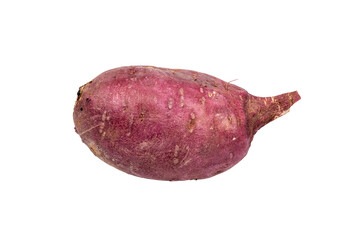 One purple sweet potato. Transparent background