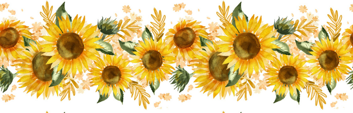 Sunflower seamless horizontal border. PNG transparent digitally painted illustration