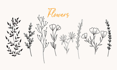 Black silhouettes flowers hand drawn vector