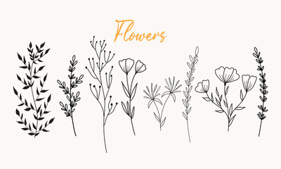 Black silhouettes flowers hand drawn vector
