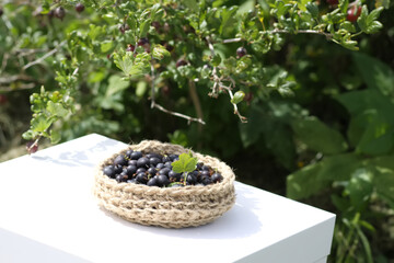 Juicy ripe berries of a gooseberry in a small handmade jute basket.