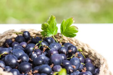 Juicy ripe berries of a gooseberry in a small handmade jute basket.