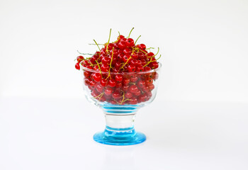 Ripe red currant berries in a transparent cup. Healthy food ingredients.