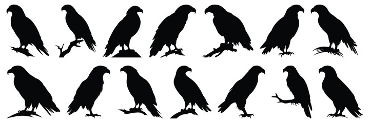 Eagle silhouettes set, large pack of vector silhouette design, isolated white background