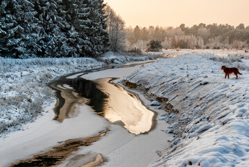 Podlaskie rzeki zimą, Nareśl, Narew, Biebrza, Polska - 696839464