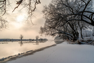 Podlaskie rzeki zimą, Nareśl, Narew, Biebrza, Polska - obrazy, fototapety, plakaty