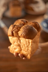 Female hands holding homemade fresh bread