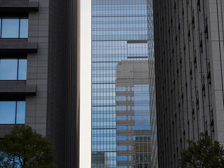 Obraz premium 秋の東京都の都心の高層オフィスビルの風景