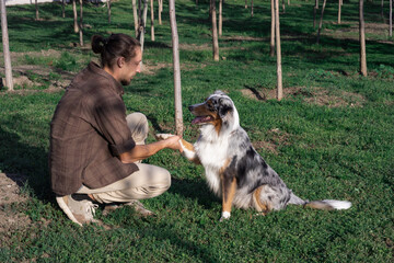 Dog training in the park. A young man practices commands with his dog