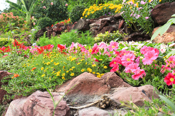Natural landscape beauty flowers in the garden