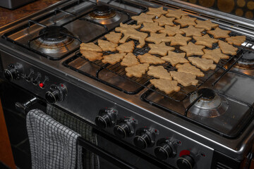 Christmas gingerbread cookies on oven rack - 696845646