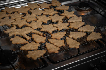 Christmas gingerbread cookies on oven rack - 696845829