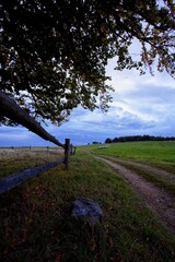 sad autumn landscape with trees