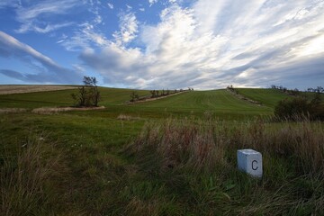 sad autumn landscape with trees