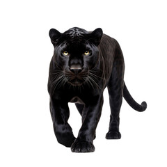 Panther clip art