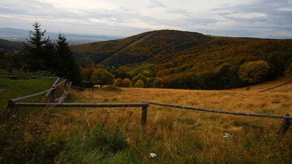sad autumn landscape with trees
