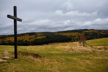 sad autumn landscape with trees