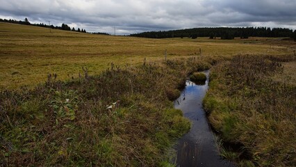 sad autumn landscape with trees
