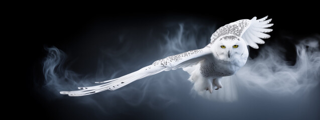 Wildlife Elegance. Snowy Owl Gliding Through Mist