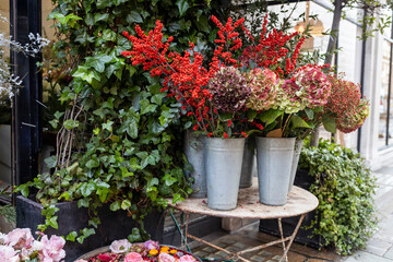 Fototapeta na wymiar Ornamental shrubs of red and purple hydrangeas and petunias in large outdoor pots line the border of outdoor cafes and restaurants