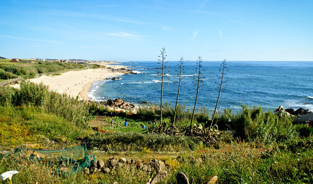 Sao Paio Beach in Labruge, Vila do Conde, Portugal