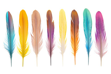 Colorful Feathers Isolated on Transparent Background
