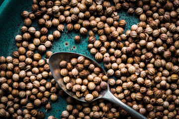 Coriander seeds close up