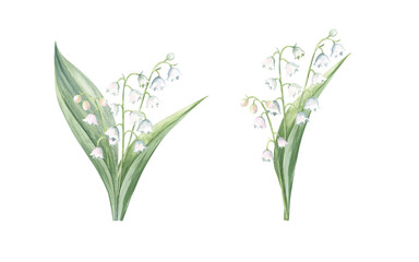 Watercolor illustration of the lily of the valley flowers, elegant spring set of two bouquets for the cards, stickers, invitations 