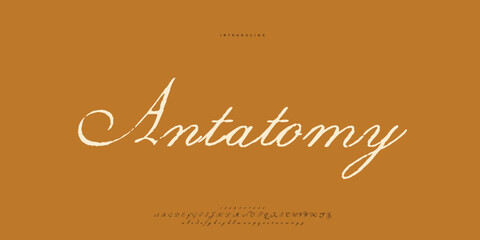 Abstract Fashion font alphabet. Minimal modern urban fonts for logo, brand etc. Typography Calligraphy typeface uppercase lowercase and number. vector illustration
