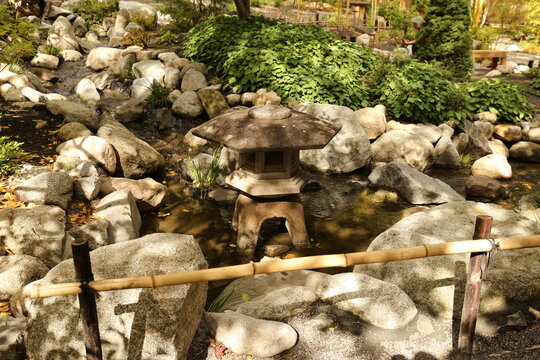 Japanese pagoda in garden