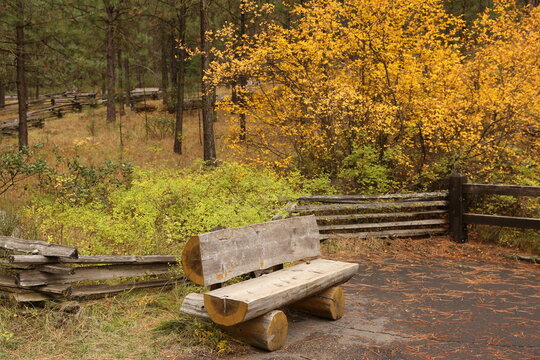 Wood bench in the fall
