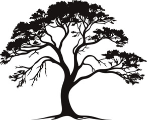 Beautiful vector tree silhouette outline vector icon for nature apps and websites.