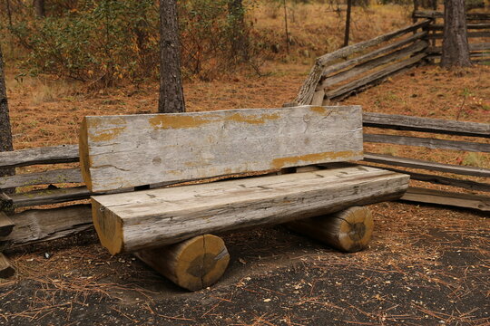 Wood bench in the fall