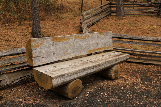 Wood bench in the fall