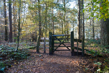 View of a wooden gate in the middle of woodland and a footpath