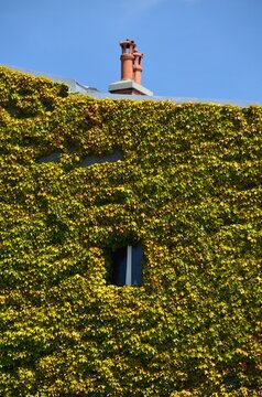 Casa con parra en Vevey a orillas del Lago Leman, cant&oacute;n de Vaud, Suiza