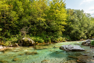Naklejka na ściany i meble Landscape of Slovenia. The turquoise waters of the Soča River flow through the green forest