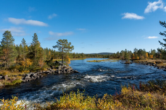 Stunning view of Trollforsen rapid river and autumn forest in Swedish Lapland, beautiful scenic wilderness of Pite river with autumn colors under a blue sky, Norrbotten, Sweden.
