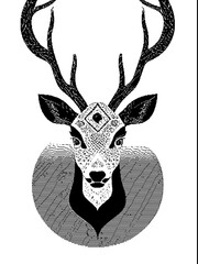 hand drawn illustration of a deer
